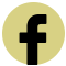 Facebook Icon footer